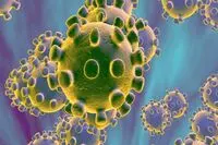 IIDCYA launches intl. painting contest on new virus