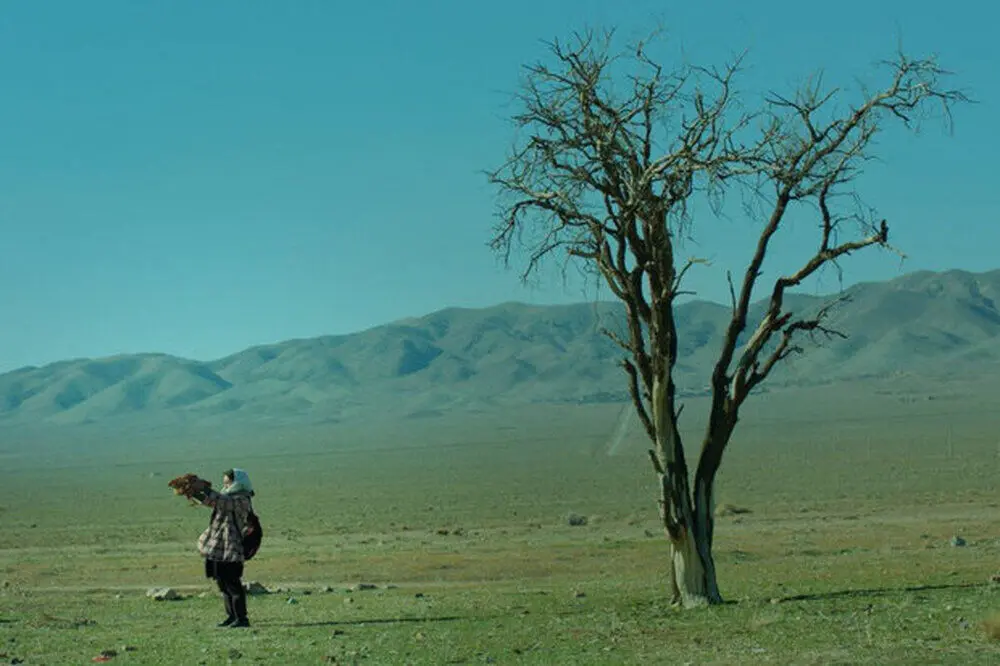 “Metamorphosis in the Slaughterhouse” honored at Bare Bones film festival