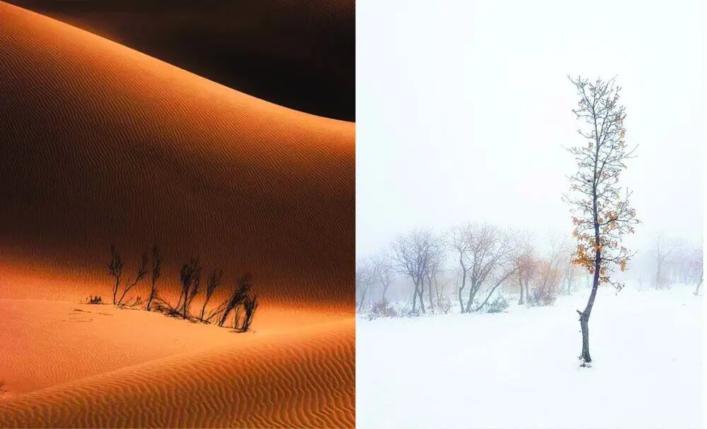 Iranian artists honored at Global Photographic Union contest 