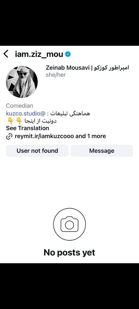 تمسخر شاهنامه کمدینی که از خط قرمزها عبور کرد/ پیج اینتساگرام زینب موسوی بسته شد+توئیت‌ها