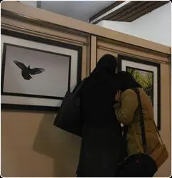 بزرگترین نمایشگاه عکس مازندران