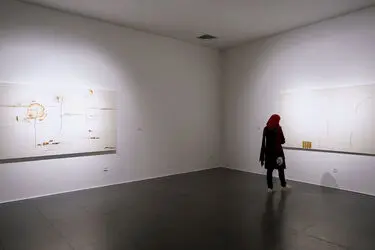 افتتاحیه نمایشگاه آثار مریم سالور در گالری ایرانشهر