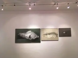 نمایشگاه نقاشی شادی اجباری با عنوان «تجلی هیولاها» در گالری هما
