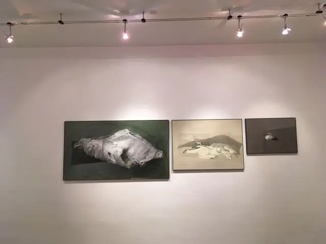 نمایشگاه نقاشی شادی اجباری با عنوان «تجلی هیولاها» در گالری هما
