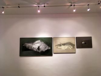 نمایشگاه نقاشی شادی اجباری با عنوان «تجلی هیولاها» در گالری هما