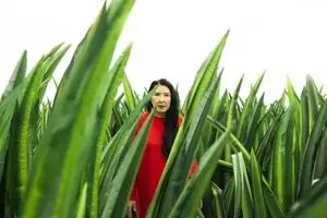 مارینا آبراموویچ در میان علف‌های بادشده / تجربه‌ای جدید از هنرمند جنجالی