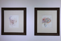 Siavash Kasraei Launches Art Exhibition