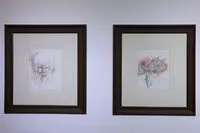 Siavash Kasraei Launches Art Exhibition