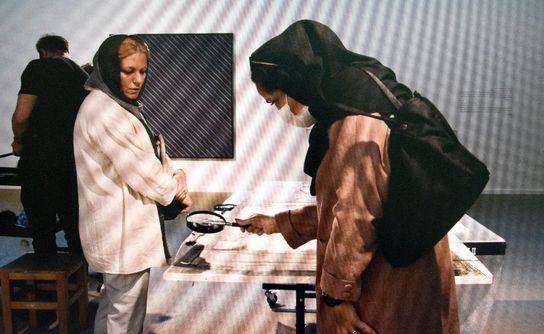 حشرات در موزه هنرهای معاصر تهران