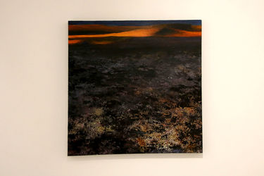 نمایشگاه نقاشی کریم نصر در گالری هور