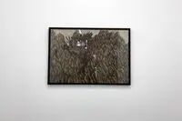 Ensieh Akbarzadeh  painting exhibition at O Gallery
