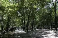 دستگیری نوازنده در پارک قیطریه/ کنسرت های رایگان و ارزان و واکنش ماموران
