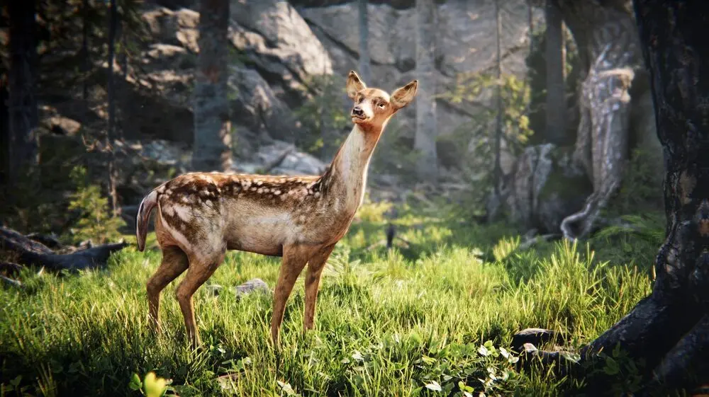 “Echo”, “Haboob” to compete in Portugal CineEco festival