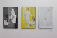 Group Photo Exhibit in Negarestan Garden