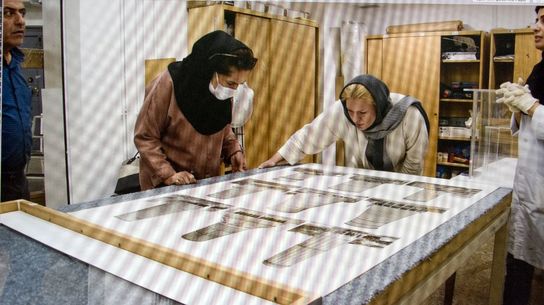 حشرات در موزه هنرهای معاصر تهران