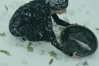 فضای اسکار شاعرانه می‌شود