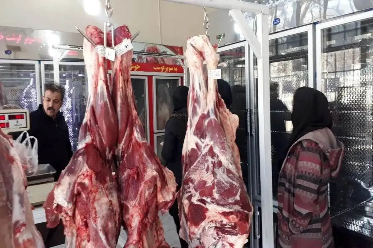 ۲ میلیونی شدن قیمت گوشت امروز دوشنبه ۵ مرداد ۱۴۰۵ / قیمت گوشت گوسفندی امروز چقدر است؟