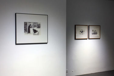 نمایشگاه آثار محمدرضا قربانی در گالری عصر