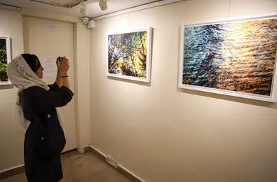 تصاویری برای معانی فلسفی/ گزارش تصویری نمایشگاه عکس محمد صادق نیک‌نهاد 