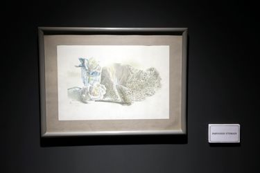 گالری رشیدی هتل رشیدیه