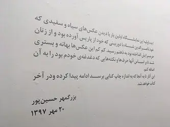 Bozorgmehr Hosein pour (13)