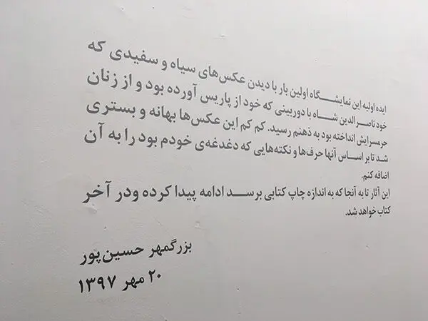 Bozorgmehr Hosein pour (13)
