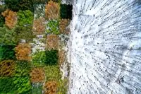  “White and Colorful” by Mohammadreza Masumi wins gold medal at Issyk-Kul exhibit