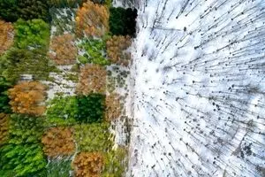  “White and Colorful” by Mohammadreza Masumi wins gold medal at Issyk-Kul exhibit