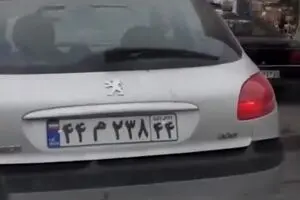 بارش بادمجان در تهران/سه ویدئو