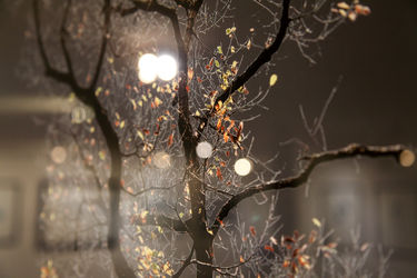 نمایشگاه عکس آرمان مولوی در گالری سیحون 2