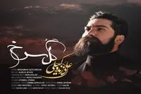 همکاری علی زندوکیلی با موزیسین‌ ترک / "گل سرخ" را بشنوید