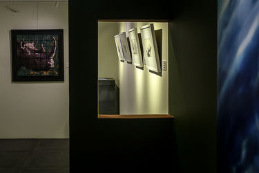 مایشگاه طراحی و نقاشی یحیی رویدل در گالری دیلمان