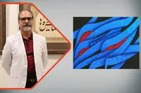 علی شیرازی ؛ وقتی فرم محض محتوا می آفریند