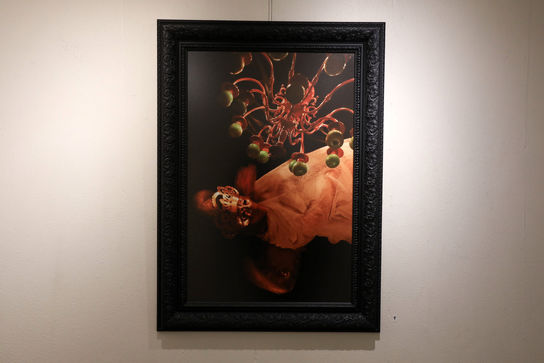 نمایشگاه عکس پدرام لسانی و اسرا مدنی در گالری گلستان