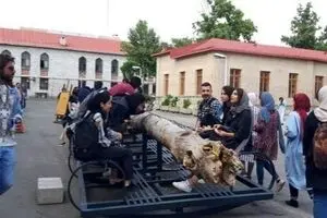 ماجرای دانشجویان هنر و ابهام ها