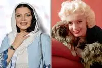 الهام پاوه‌نژاد راوی زندگی پرحاشیه مریلین مونرو شد/ فیلم