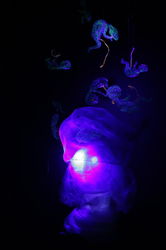 آثار چیدمان دهمین جشنواره تجسمی فجر در موسسه فرهنگی هنری صبا