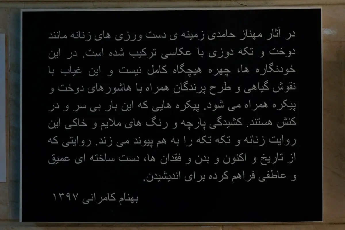 نمایشگاه عکس و دوخت مهناز حامدی درگالری ویستا پلاس