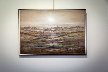 نمایشگاه پروژه هنری،محیط زیستی "جان کویر" در آرت سنتر