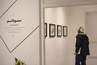 نمایشگاه گروهی عکس‌ با عنوان "سیتوپلاسم" در گالری هپتا