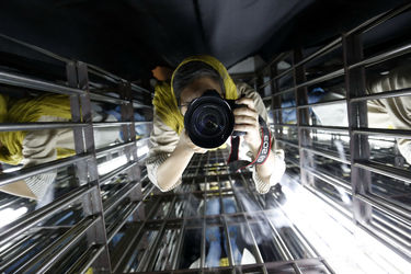 نمایشگاه گروهی با انتخاب شهرام انتخابی و آسیه سلیمیان در گالری آ 