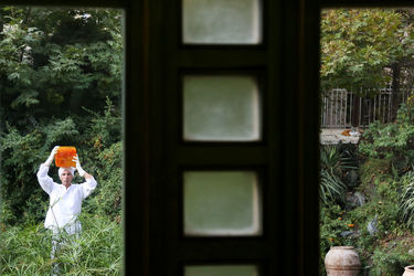 نمایشگاه پروژه هنری،محیط زیستی "جان کویر" در آرت سنتر