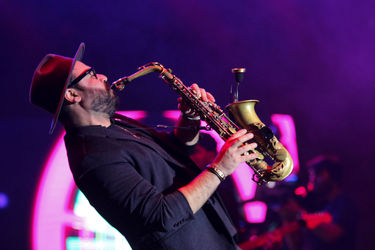 کنسرت بهنام بانی در سی و سومین جشنواره موسیقی فجر