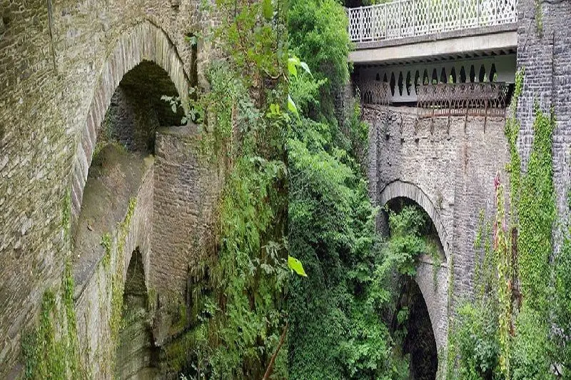 ببینید: اعجاب‌انگیزترین پل‌های جهان