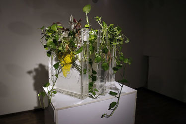 نمایشگاه گروهی با انتخاب شهرام انتخابی و آسیه سلیمیان در گالری آ 