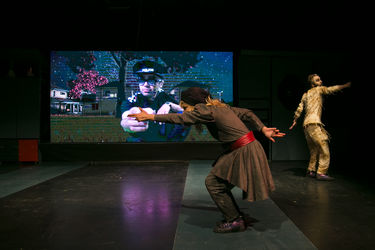 نمایش "ماجرای عجیب سگی در شب" در عمارت نوفل‌لوشاتو