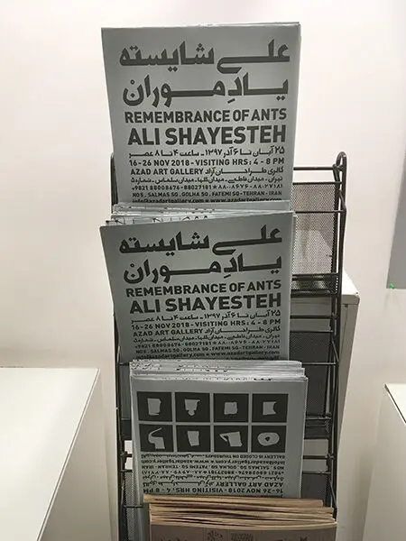 Ali Shayeste (23)